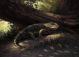 Mimi magdaleno onlyfans Únete hoy y accede a los perfiles y