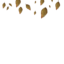 Green leaves png images free download pictures. Falling Leaf Leaves Sticker By Cathleen Cafasso For Ios Android Giphy