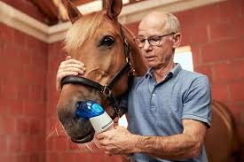 Image result for Inhaled Ciclesonide