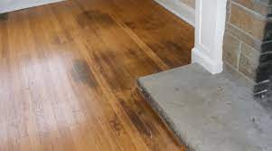 Dry the surface with a clean damp towel. Dog Urine Soaked Into Hardwood Floor How To Remove Livingproofmag