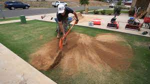 Bermuda is a grass type that survives smaller particles will be able to fill a gallon container more effectively, leaving less room for air the type and composition of the sand will determine the. Levelling My Tiftuf Couch Bermuda Green With Sand Plus Seed Update Youtube