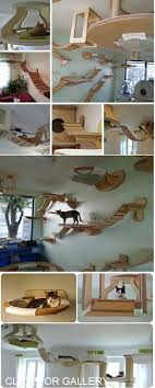 After securing the carpet on each side of the shelves, the slats, and the cat cave, it's now time to attach the structure to the wall. 34 Cat Steps Ideas Cat Diy Cat Room Cat Furniture