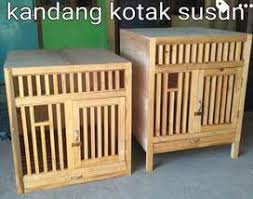 Kandang ayam bangkok 4,,pintu,,,,,ukuran ,tinggi 160 x lebar 150.semoga bermanfaat buat,,para pecinta kandang ayam.bangkok jual kandang ayam bangkok pintu kecil dengan harga rp1.525.000 dari toko online sangkarjuna, kab. Ayam Bangkok Jual Hewan Peliharaan Terlengkap Di Bekasi Kota Olx Co Id