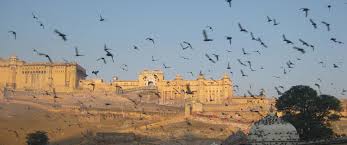 With 30 years of expertiseexotic india is a well acclaimed name in the giftware and handicraft industry. Exotic India Bike Tour Rajasthan Agra Delhi Cycling Holiday Art Of Bicycle Trips