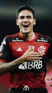 A collection of the top 45 doflamingo wallpapers and backgrounds available for download for free. Pedro Flamengo Pedro Guilherme Flamengo Flamengo 2019 Mengao Fla Wallpaper Flamengo Liber Libertadores Flamengo Flamengo E Atletico Flamengo Brasileirao