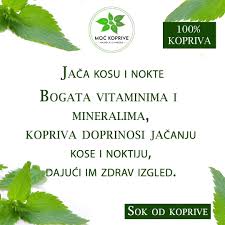 Hladno ceđeni PRIRODNI SOK od koprive🌿 (@moc_koprive) • Threads, Say more