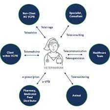 Maybe you would like to learn more about one of these? Veterinary Telehealth The Basics American Veterinary Medical Association