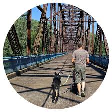 Watch a dogs journey online free on 123movies, 123 movies：a dog finds the meaning of his own existence through the lives of the humans he meets. Route 66 Pet Friendly Sights From Chicago To Santa Monica