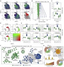 Namun bilamana sobat masih bingung dan kesulitan dengan cara yang admin sarankan diatas. Identifying Cns Colonizing T Cells As Potential Therapeutic Targets To Prevent Progression Of Multiple Sclerosis Sciencedirect