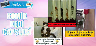 Komik Kedi Capsleri Foto Galeri