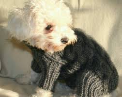 Cable Tricot Chien Dans L Ensemble Pull Tricote De Chien Chien De Designer De Vetements Vetements Pour Animaux Ch Dog Sweaters Dog Sweater Knit Dog Sweater