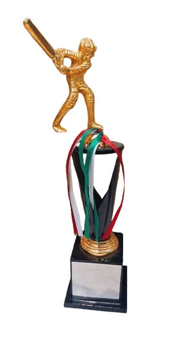 Cricket Batsman Metal Trophy product image