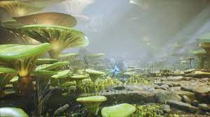 Artwork mushroom man by emphantasy genre: Fantasy Mushrooms In A Magic Forest Beautiful Magic Mushrooms In The Lost Forest And Fireflies On The Background With Stock Illustration Illustration Of Fairy Fantasy 147331169