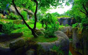 Looking for the best 3d nature wallpaper? 3d Backgrounds 3d Wallpapers Green Nature Wallpaper 3d Nature Wallpaper Nature Wallpaper