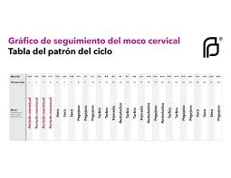 Como Funciona El Metodo Del Moco Cervical Flujo Vaginal Como Calcular Tus Dias Fertiles I Planned Parenthood