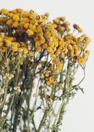 Extraordinary creations, superior quality, and outstanding customer service make madison flower shop exceptional. Yellow Dried Flower Bouquet Beautiful Lily Flower