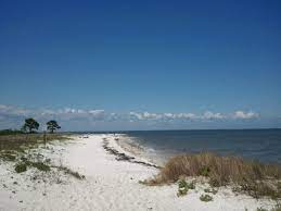 Posts About Mashes Sands Beach On Rachel Loves Sunflowers Beach Sand Panacea Florida Beach
