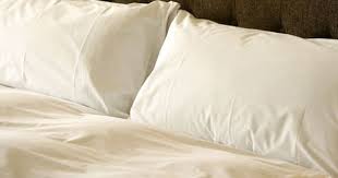 Free domestic shipping over $99! 75 White Goose Feather 25 White Goose Down Pillow As Featured At The Wynn Ae Las Vegas N Queen Size N 20i X 30 How To Clean Pillows Pillows Goose Down Pillows