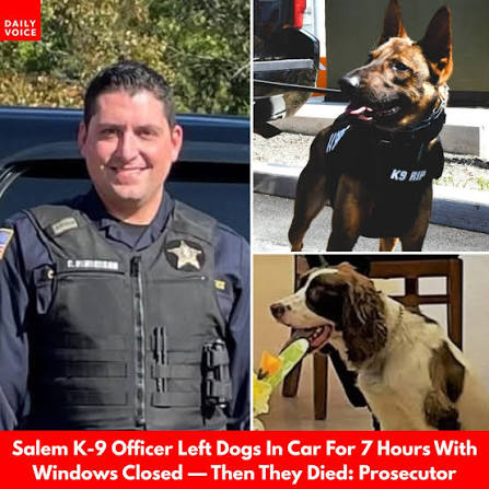 A Salem County Sheriff's Officer is facing charges after two K-9s died after  he left them in the car all day with the windows up, authorities announced  Tuesday, July 7. On Friday,