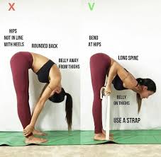 Pin By Gus Ayala On Yoga Easy Yoga Workouts Yoga Fitness Yoga Tutorial