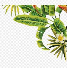Visit Transparent Tropical Leaves Png Image With Transparent Background Toppng Hawaiian seamless pattern with tropical plants. transparent tropical leaves png image