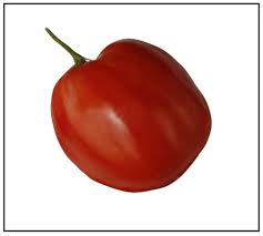 I will try to keep the tally of each type updated: Italian Heirloom Tomato Plants For Sale Online Buy Italian Heirloom Tomato Plants Piedmont Farm And Garden