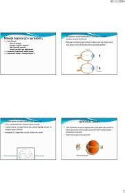 Refraksiyon Kusurlari Nelerdir Miyopi Refraksiyon Nedir Miyop Goz Uzagi Goremez Pdf Ucretsiz Indirin