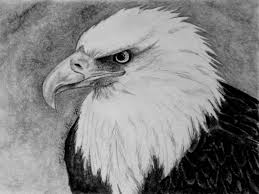 Bald Eagle Black And White Drawing Eagle Pencil Drawing Eagle Drawing Pencil Drawings Art Painting