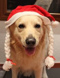 Amateur or Professional who can tell