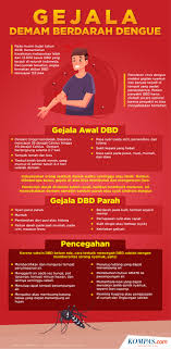 Waspada Demam Berdarah Dengue Kenali Gejala Dan Ciri Cirinya Halaman All Kompas Com