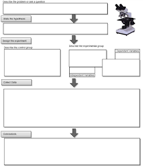 Scientific Method Flowchart Scientific Method Worksheet Scientific Method Scientific Method Steps