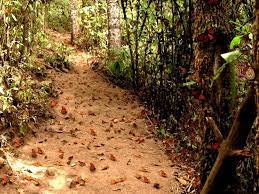 25 Lugares Curiosos Y Extraordinarios De Mexico Turismo En Mexico Mexico Viajes En Mexico