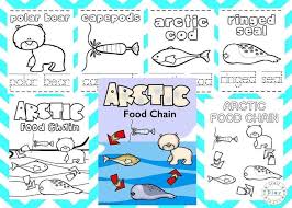 The original format for whitepages was a p. Arctic Coloring Pages For Kids Craft Play Learn
