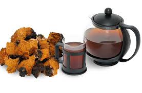 Chaga Benefits That Are Not Found In Any Other Herb