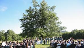 Red Barn Hampshire College A Beautiful Tree For The Ceremony Red Barn Hampshire Wedding 37 Jpg Massachusetts Wedding Venues Red Barn Massachusetts Wedding