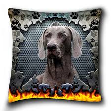 Image result for výmarský krátkosrstý ohař