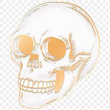 Drawing Gold Skull Design Element Free Image By Rawpixel Com Manotang Skull Design Design Element Gold Skull