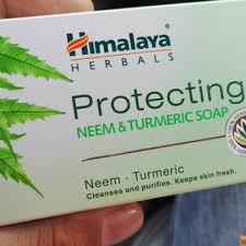 Obat daun ungu berasal ekstrak tumbuhan dengan nama yang sama dan tersedia dalam bentuk kapsul. Sabun Daun Semambu Untuk Chickenpox