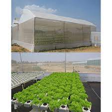 Hydroponics Commercial Farm Linear Nft System 5000 Sqft