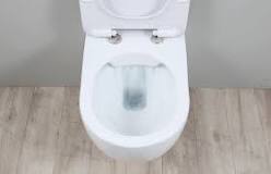 Image result for rimless toilet meaning
