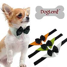 Tolles Hochzeits Accessoire Fur Deinen Hund Wer Eine Hochzeit Mit Hund Plant Findet Hier Jede Menge Cooler Hund Hundefliege Hundeschleifen Kleidung Fur Hunde