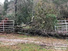 See reviews, photos, directions, phone numbers and more for georgia power offices locations in gainesville, ga. Thousands Without Power Roads Blocked As Storm Brings High Winds Rain Gainesville Times