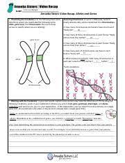Join the amoeba sisters as they discuss the terms gene and allele in context of a. Alleles And Genes Hw Pdf Cori Lee Kipapa Amoeba Sisters Video Recap Alleles And Genes 1 Visualizing The Vocabulary For The Following Illustration Course Hero