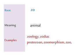 Ppt Root Meaning Examples Powerpoint Presentation Free Download Id 2279540