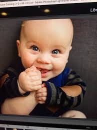 Tara Fay Photography, LLC