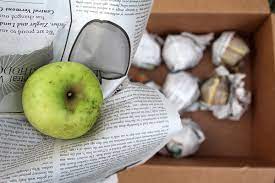 Since the slices will float to the top of the water, place a clean paper towel on top. Keep Apples Fresh For Over A Year Without A Root Cellar
