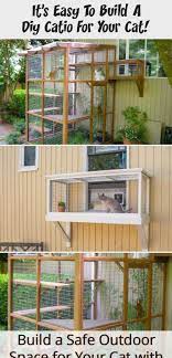 It S Easy To Build A Diy Catio For Your Cat Cats A Diy Catio Plan For Every Location And C In 2020 Catio Catio Plans Cat Patio