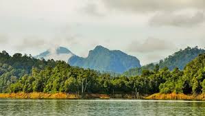 Selain itu, tasik kenyir ini juga menjadi rumah buat 14 air terjun lata, jeram, sungai dan santuari sepsis ikan dan eksotik hidupan liar. 10 Tempat Menarik Di Tasik Kenyir Ramai Tidak Tahu Ammboi