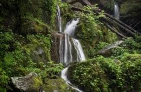 Place of a thousand drips tennessee. 5 Unique Places In The Great Smoky Mountains You Have To See