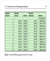 29 Amortization Schedule Templates Free Premium Templates